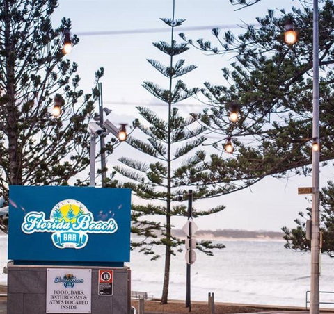 Anchovy - South Australia Travel 2