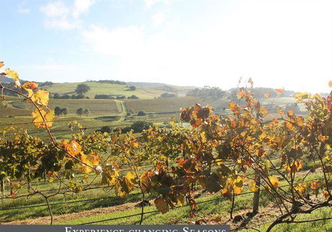 Oak Room Eleven - South Australia Travel 6