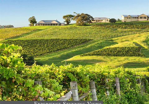 Oak Room Eleven - South Australia Travel 8