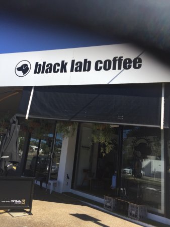 Black Lab Coffee - South Australia Travel 0