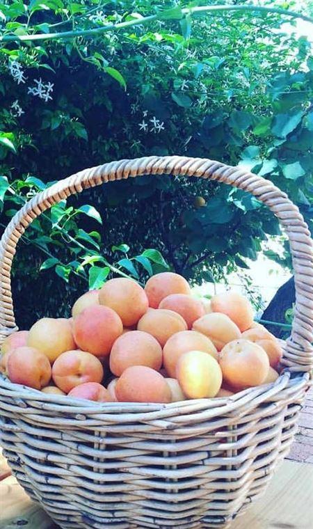 Cafe 63 Yeronga - South Australia Travel 4