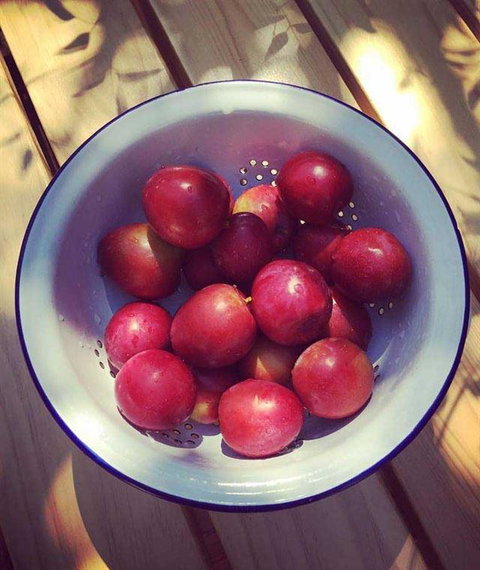 Cafe 63 Yeronga - South Australia Travel 7