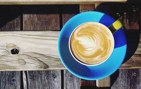 Lush Coffee Lounge - South Australia Travel 16