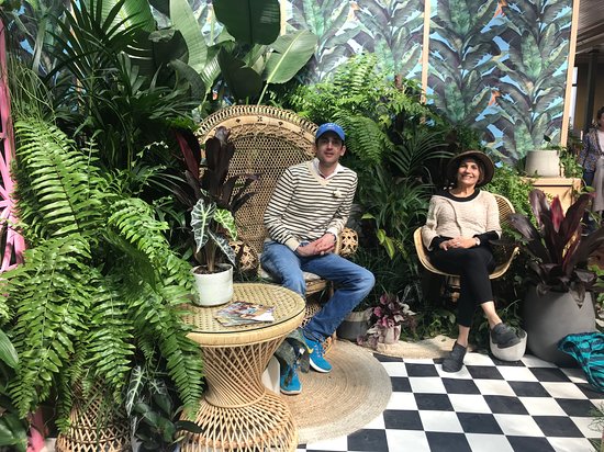 South Hobart TAS South Australia Travel