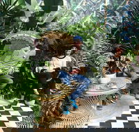 Rivulet Cafe - South Australia Travel