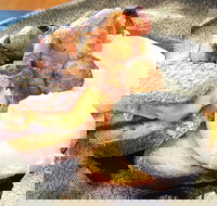 The Peak - South Australia Travel