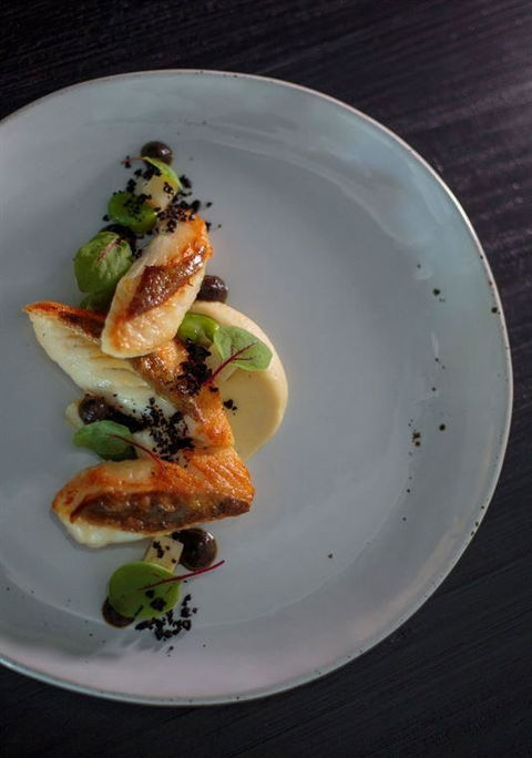 Allium Restaurant & Bar - South Australia Travel 7