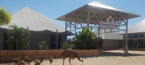 Papou's Kitchen Cafe - South Australia Travel 0