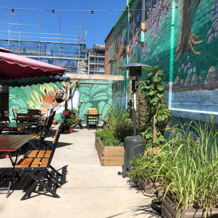 O Cha Cha - South Australia Travel 0