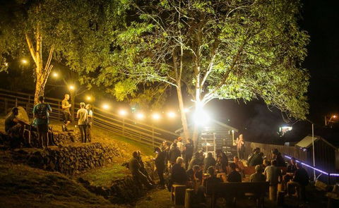 Ol' Cactus - South Australia Travel 0