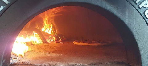 Ol' Cactus - South Australia Travel 4