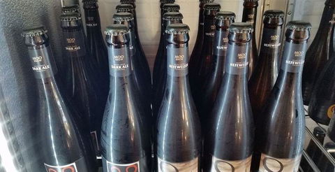 Ol' Cactus - South Australia Travel 7