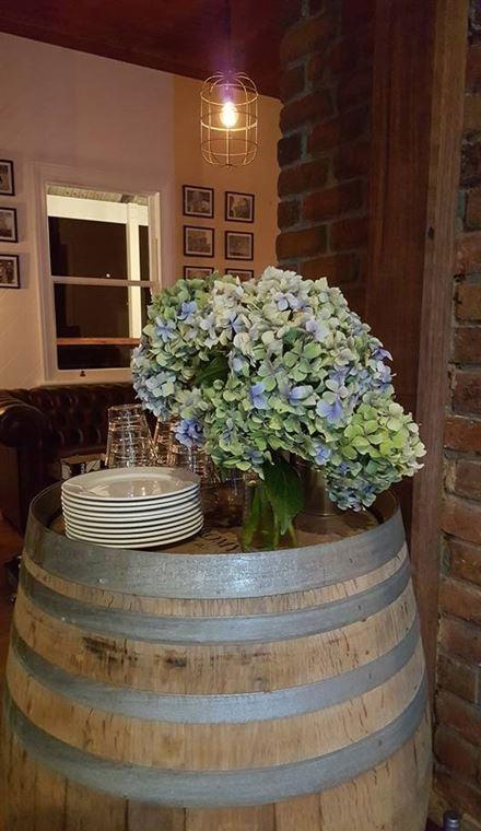 Ol' Cactus - South Australia Travel 8