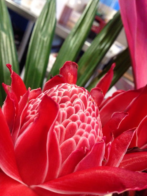 Ebb And Flow Cafe - South Australia Travel 6