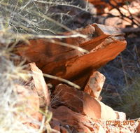 Under A Desert Moon - South Australia Travel