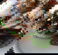 Hedgehogs Cafe - South Australia Travel