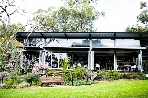 Zamia Cafe - South Australia Travel 0