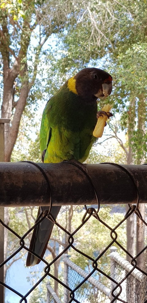 Cafe On The Dam - South Australia Travel 1