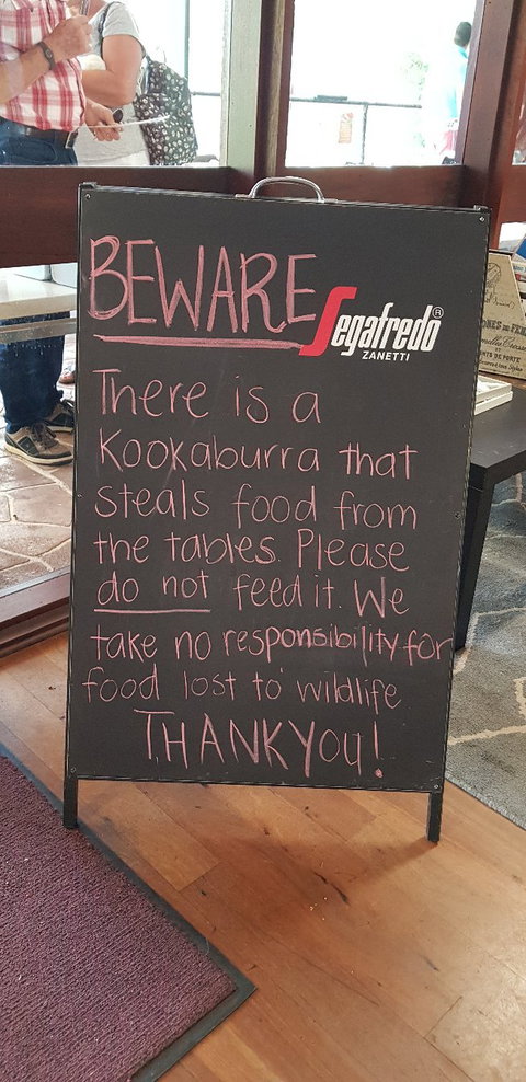 Cafe On The Dam - South Australia Travel 2