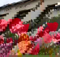 Tiny Tea Shop - South Australia Travel