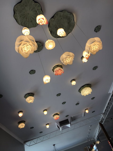 Coffee Journey - South Australia Travel 1