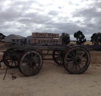 Emu Bay Lavender - South Australia Travel