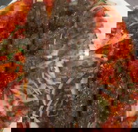 Jannah Charcoal Chicken - South Australia Travel