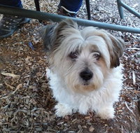 Cinnamon Grove - South Australia Travel