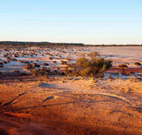 Mozie's Truckstop  Diner - South Australia Travel