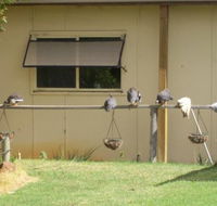 Sandy Grove - South Australia Travel