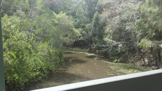 Gladstone SA South Australia Travel