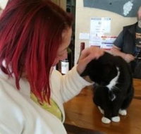 Stone Bridge Wines - South Australia Travel