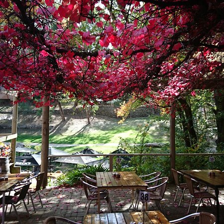 The Bridgewater Inn - South Australia Travel 0