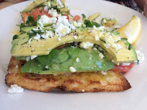 Hand Of Fatima - South Australia Travel 0