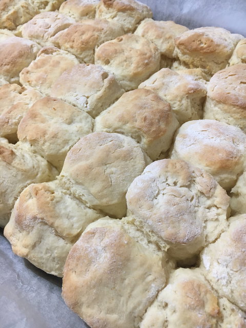 Devon Pixies - South Australia Travel 4