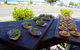 Pine & Bamboo Chinese Restaurant - thumb 21