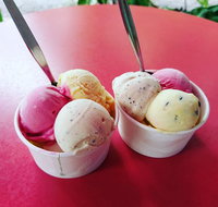 Daintree Ice Cream Company - South Australia Travel