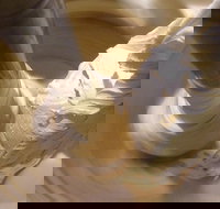 Gelato Classico Noosa Italian Cafe - South Australia Travel