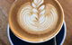 Lawn Espresso - thumb 3
