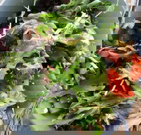 The Spun Yarn Cafe - South Australia Travel