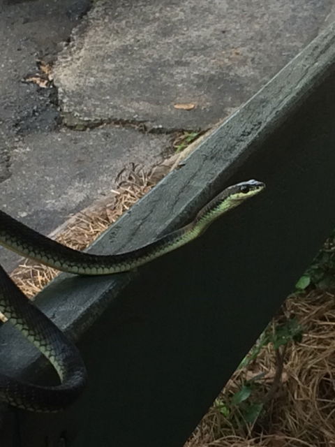 Byfield General Store - South Australia Travel 2