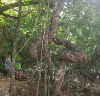 Foxy's Bar - South Australia Travel