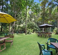 Rainforest - South Australia Travel