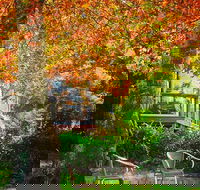The Woods Ravensbourne - South Australia Travel