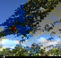 Whileaway Bookshop  Cafe - South Australia Travel