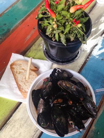 Mussel Pot - South Australia Travel 0