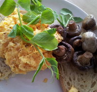 Long Story Short - South Australia Travel