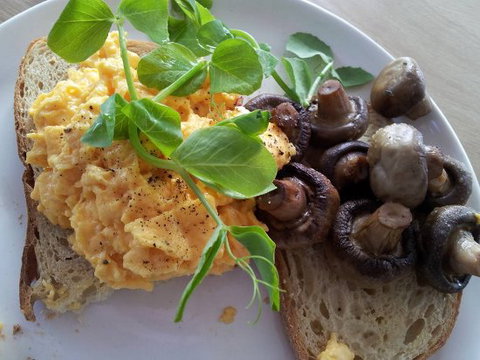 Long Story Short - South Australia Travel 0