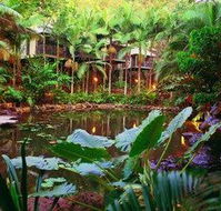 Daintree Eco Lodge  Spa - South Australia Travel