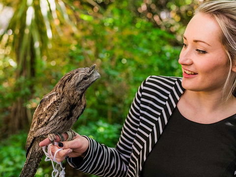 Mount Lofty House - South Australia Travel 1